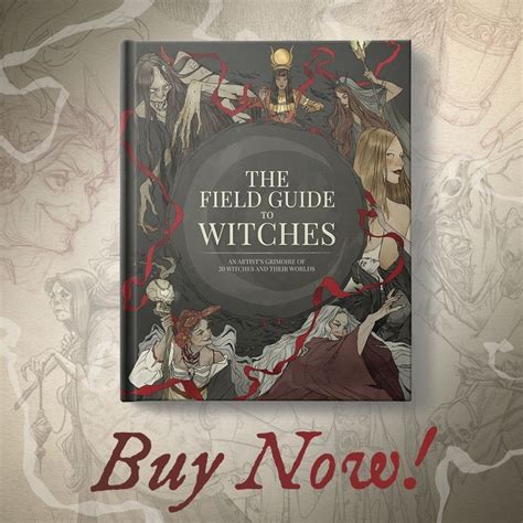 Behind Closed Doors: The Private World of Expired Witch Erotica Readers